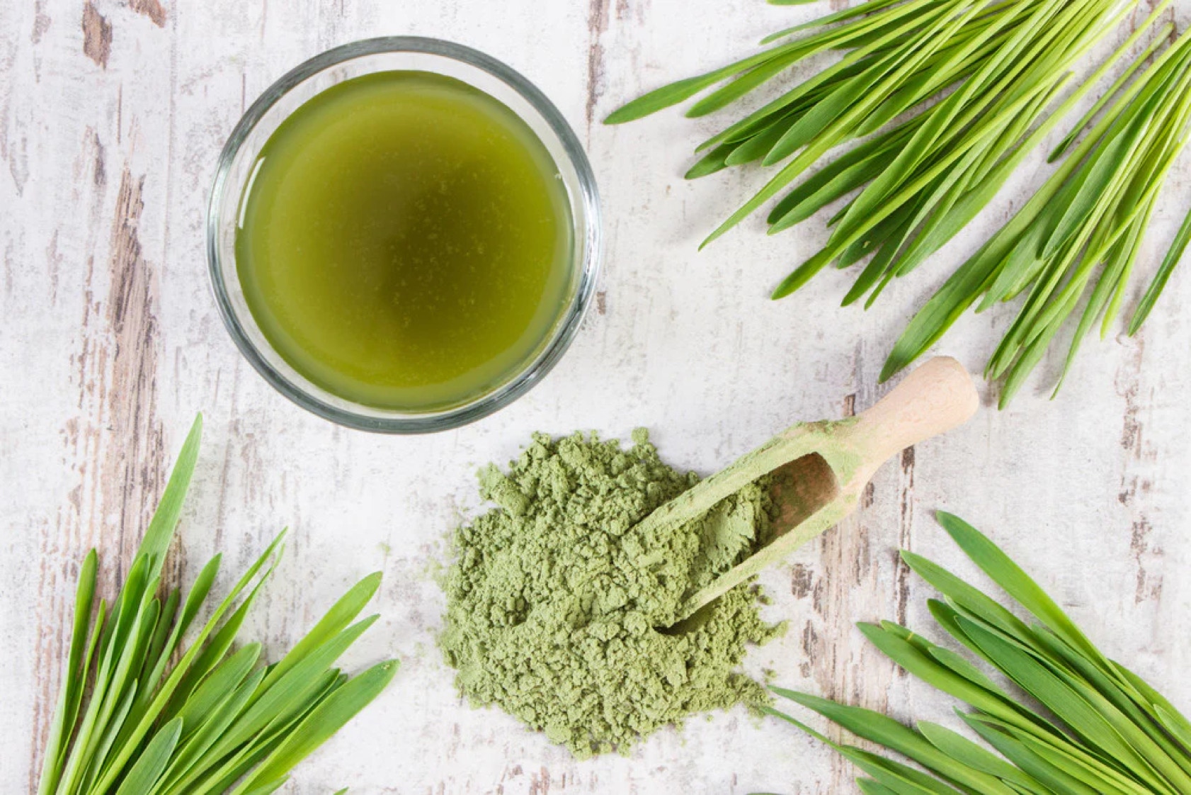 Looking for a nutritious and versatile food? Barley grass is a rich source of vitamins, minerals, antioxidants, protein and fiber. Harvested before maturity.