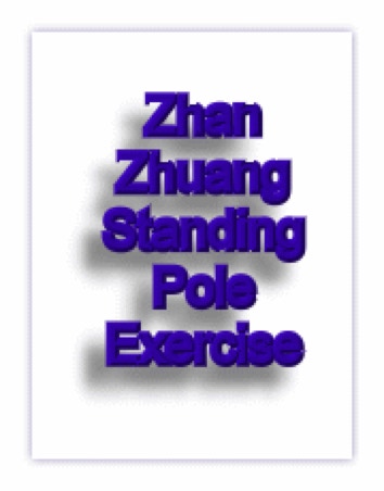 Zhan Zhuang standing pole exercises explained in detail.