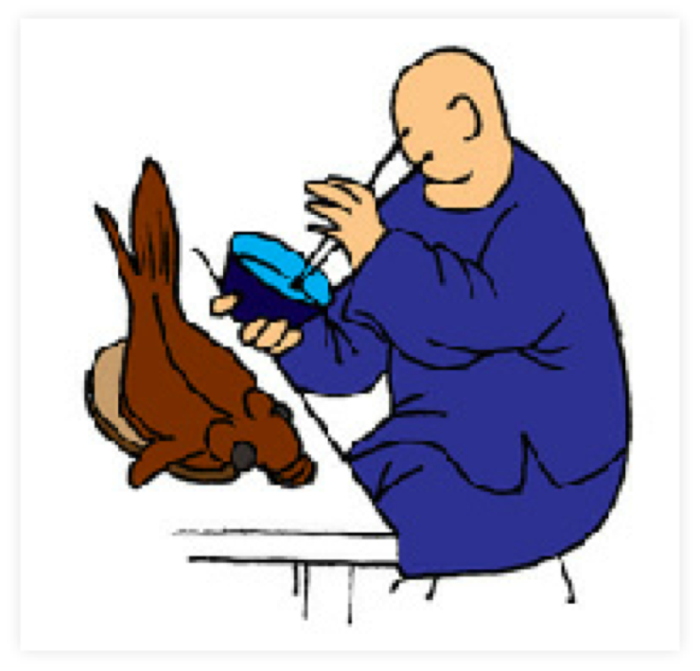 drawing Rinus Schulz chinese caligraphy