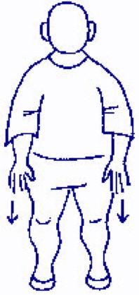 HAKKEI - FA LI   Hakkei - Fa li is a group of exercises that help to develop ability of using force in "explosive" way.