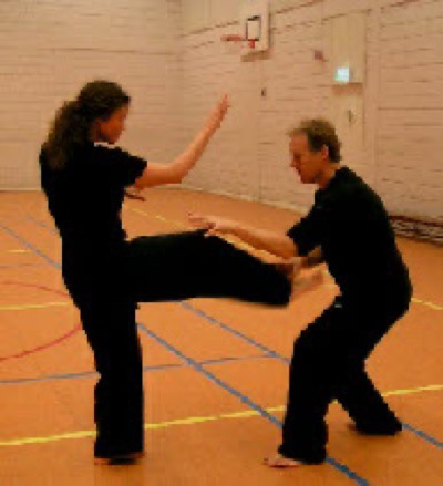 Nadja and Ron Taikiken training