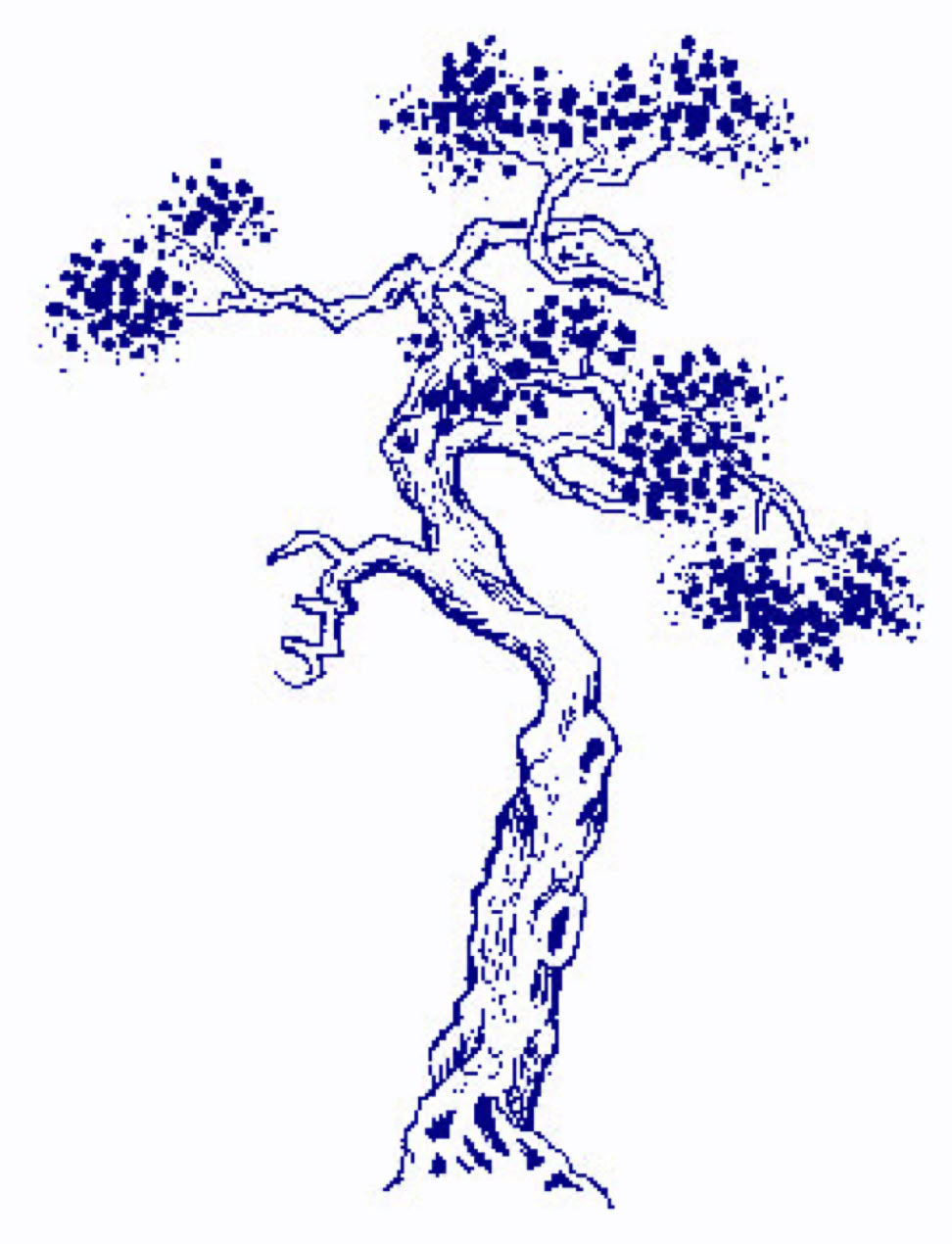 Staande Zen meditatie Ritsuzen &ndash; Zhan zhuang 