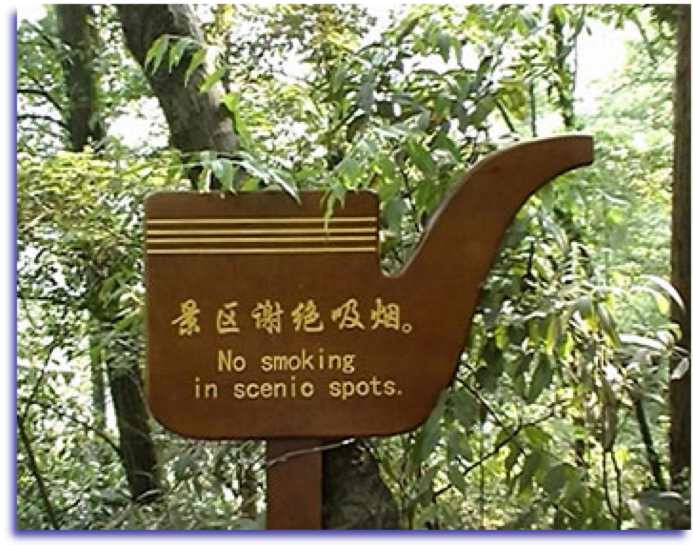 Wooden signboard with taoist text Qingcheng shan