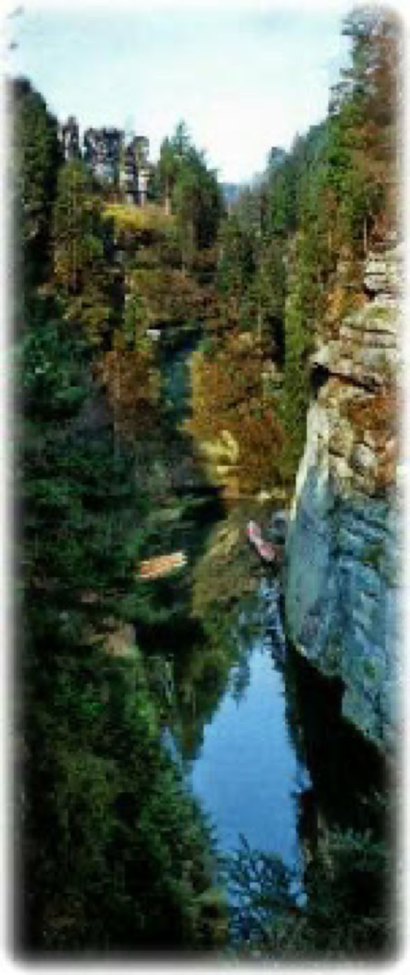 Ritsuzen meditation on characteristic rocks and in dense forests