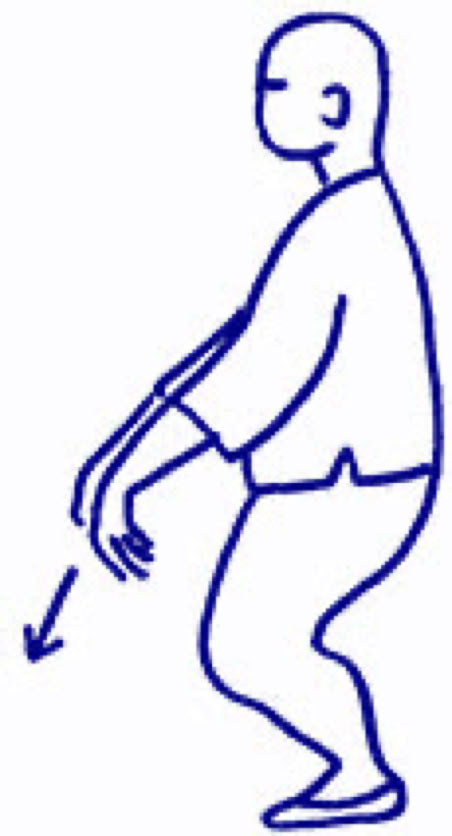 HAKKEI - FA LI   Hakkei - Fa li is a group of exercises that help to develop ability of using force in "explosive" way.