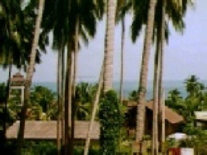 photos sabbaticals Asia 