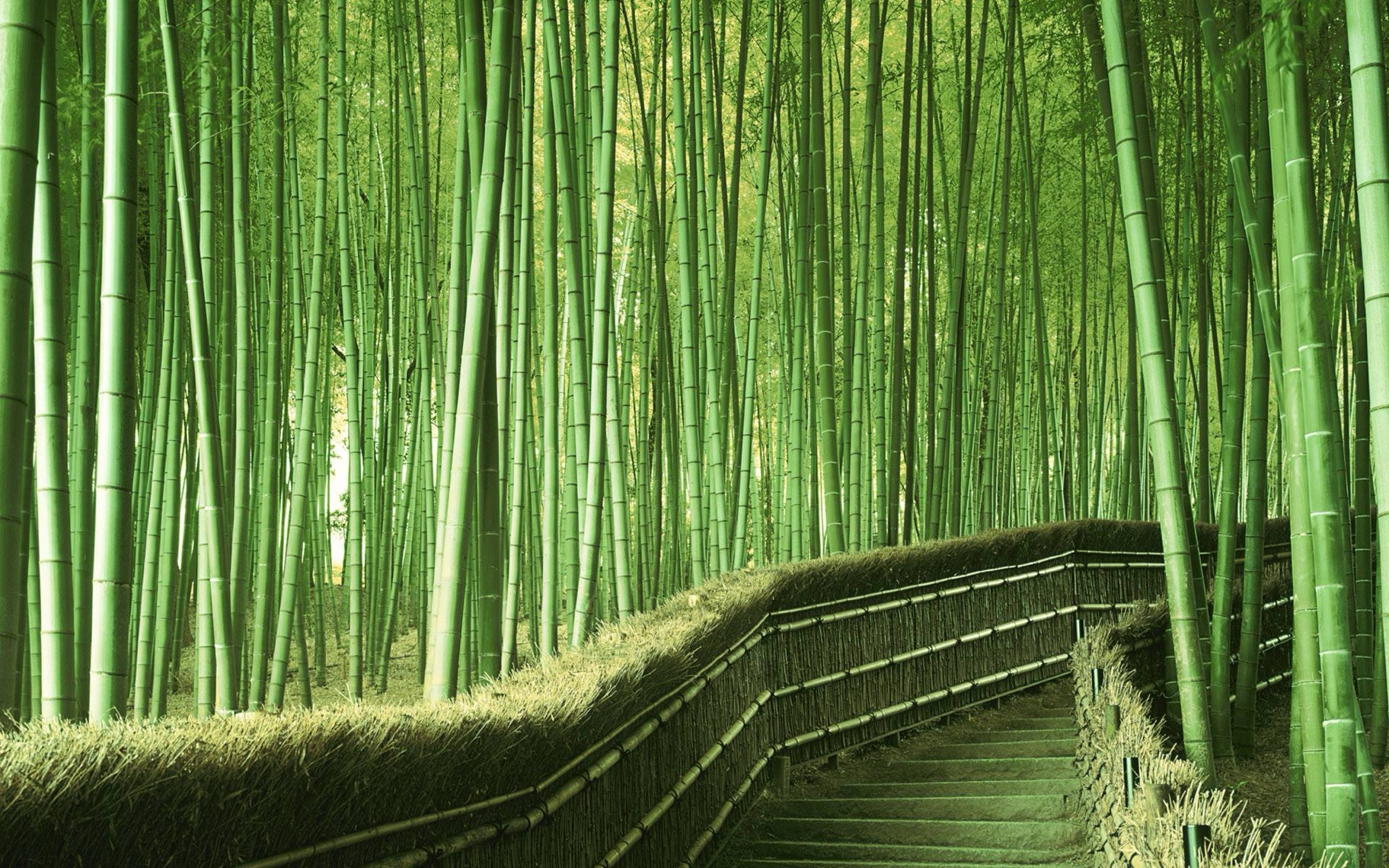"Rediscover your path with our Sabbatical leave workshop. Explore new perspectives and embrace a self-driven way of living. Join us and Walk Your Own Path today!"