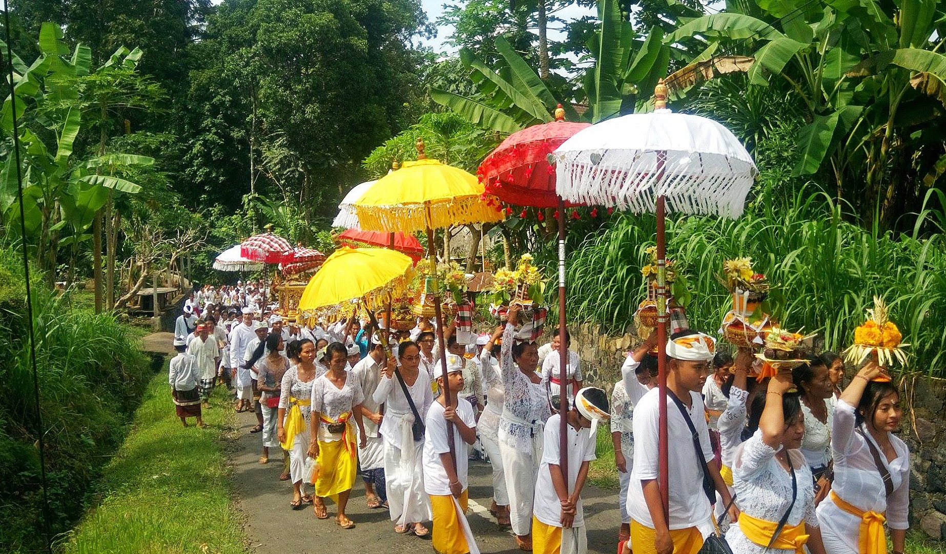 Ontdek de diverse schoonheid van Bali, Indonesië - een eiland vol cultuur, natuurwonderen en historische monumenten. Verken dichte oerwouden en adembenemende vulkanen.