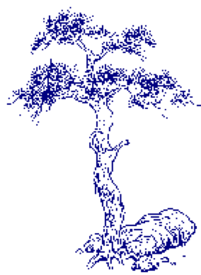 Taoist tree art Rinus Schulz