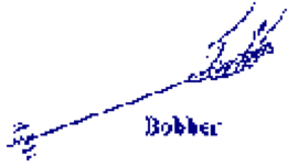 Drawing of a Bobber, a bio sensor