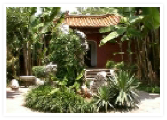 MartriX tropical guesthouse photo